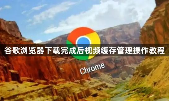 谷歌浏览器下载完成后视频缓存管理操作教程1