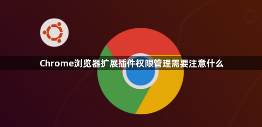 Chrome浏览器扩展插件权限管理需要注意什么1
