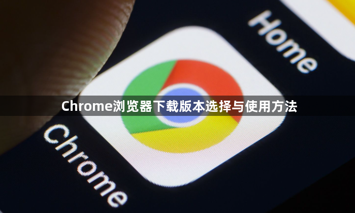 Chrome浏览器下载版本选择与使用方法1
