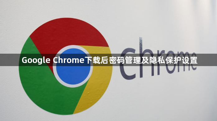 Google Chrome下载后密码管理及隐私保护设置1