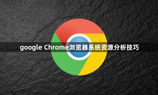 google Chrome浏览器系统资源分析技巧1
