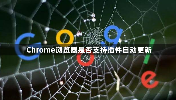 Chrome浏览器是否支持插件自动更新1