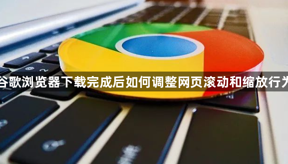 谷歌浏览器下载完成后如何调整网页滚动和缩放行为1