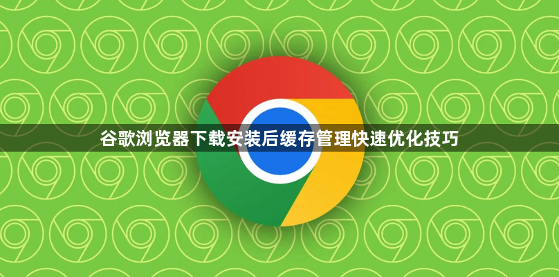 谷歌浏览器下载安装后缓存管理快速优化技巧1
